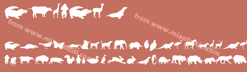 Animals预览图1