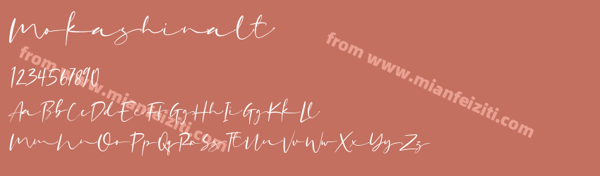 Mokashinalt预览图1