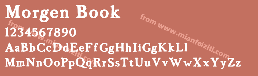 Morgen Book预览图1