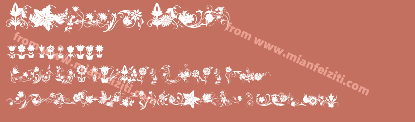 fotograami flower预览图1