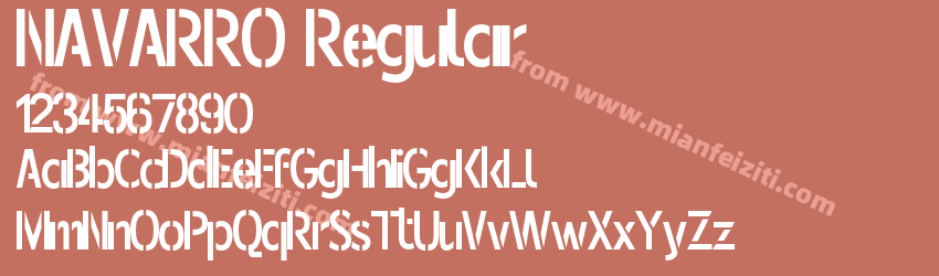 NAVARRO Regular预览图1