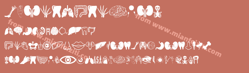 Human Anatomy预览图1