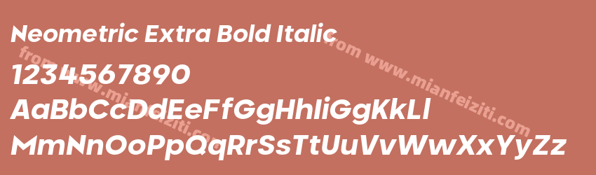 Neometric Extra Bold Italic预览图1