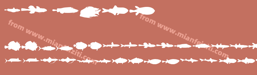 LE FISH预览图1