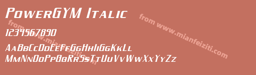 PowerGYM Italic预览图1