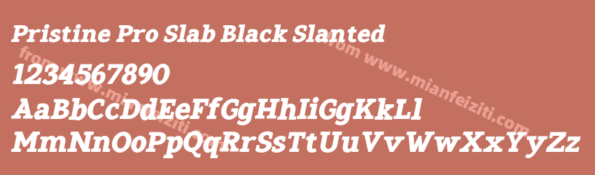Pristine Pro Slab Black Slanted预览图1