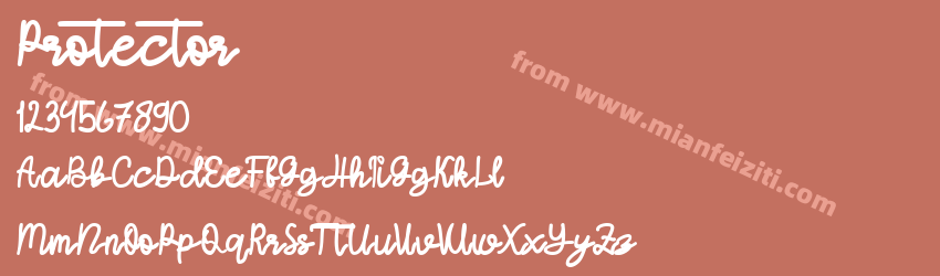 Protector预览图1