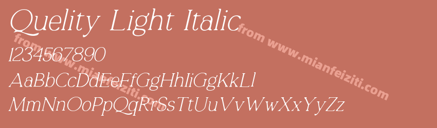 Quelity Light Italic预览图1