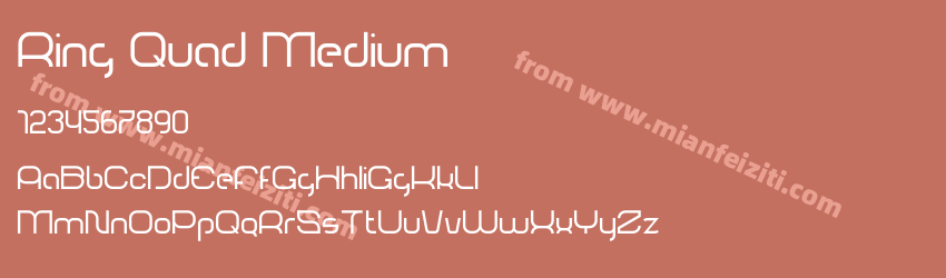 Ring Quad Medium预览图1