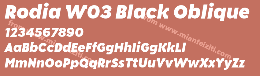 Rodia W03 Black Oblique预览图1