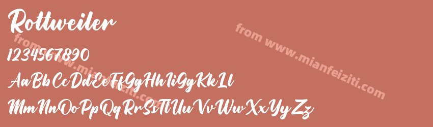 Rottweiler预览图1