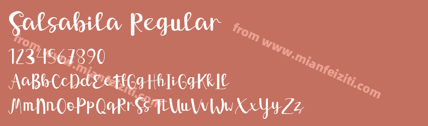 Salsabila Regular预览图1