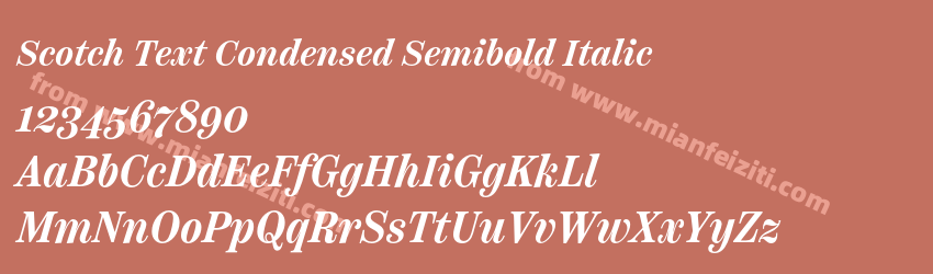 Scotch Text Condensed Semibold Italic预览图1
