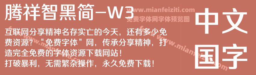 腾祥智黑简-W3预览图1