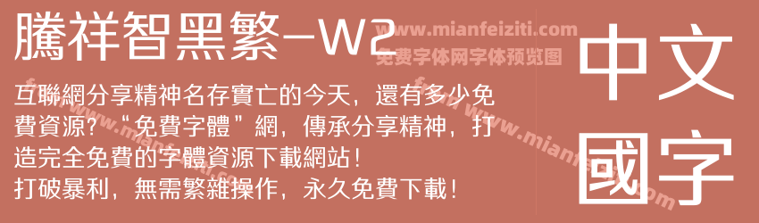 腾祥智黑繁-W2预览图1