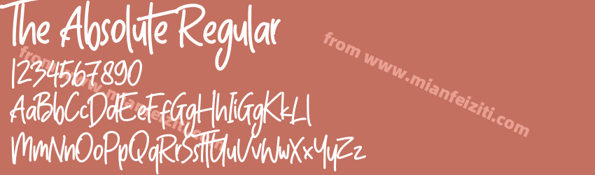 The Absolute Regular预览图1