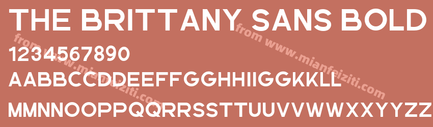 The Brittany Sans Bold预览图1