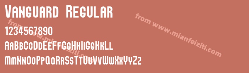 Vanguard Regular预览图1