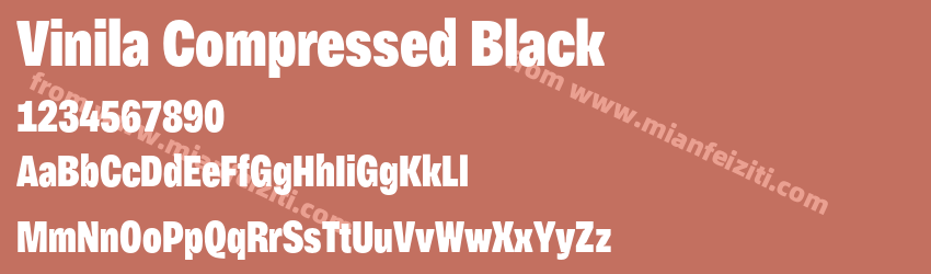 Vinila Compressed Black预览图1