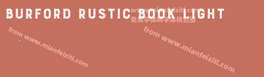 Burford Rustic Book Light预览图1