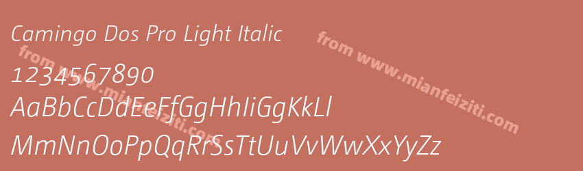 Camingo Dos Pro Light Italic预览图1