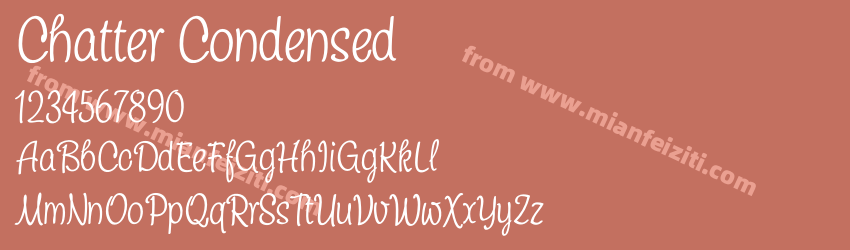 Chatter Condensed预览图1