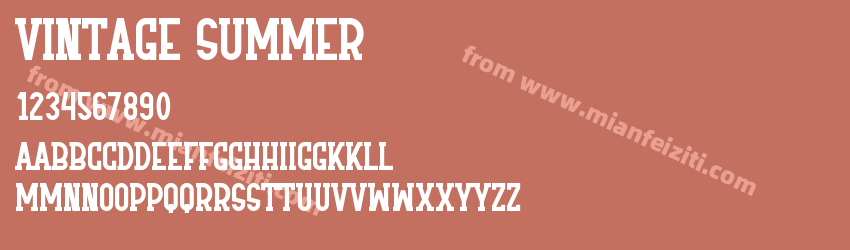 Vintage Summer预览图1