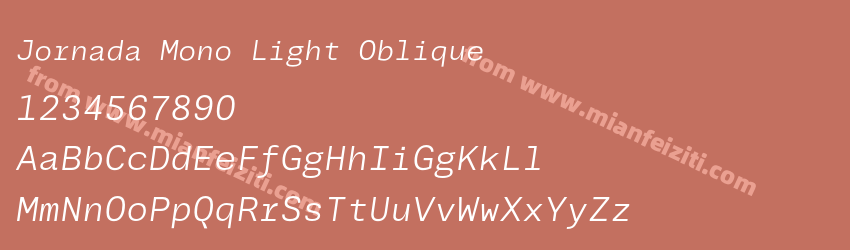 Jornada Mono Light Oblique预览图1