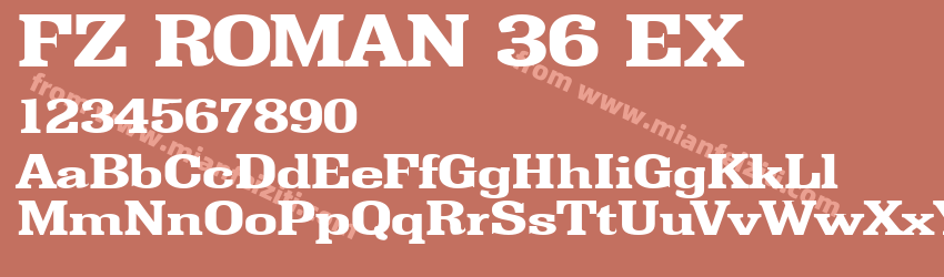 FZ ROMAN 36 EX预览图1