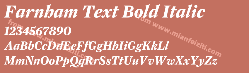 Farnham Text Bold Italic预览图1