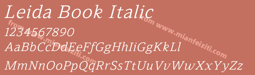 Leida Book Italic预览图1