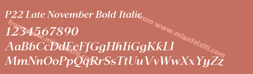 P22 Late November Bold Italic预览图1