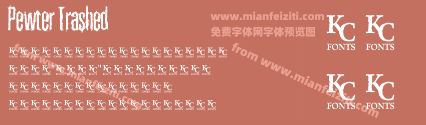 Pewter Trashed预览图1