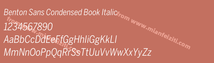 Benton Sans Condensed Book Italic预览图1