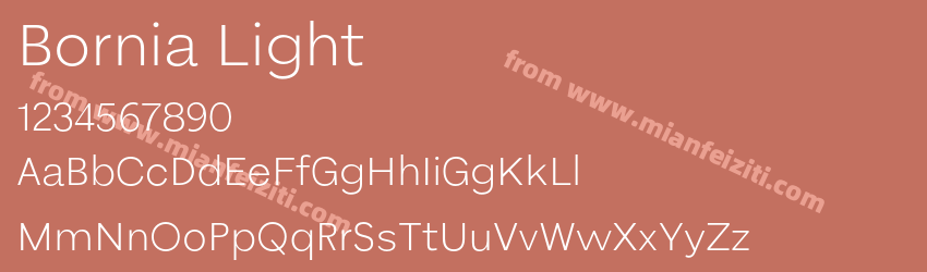 Bornia Light预览图1