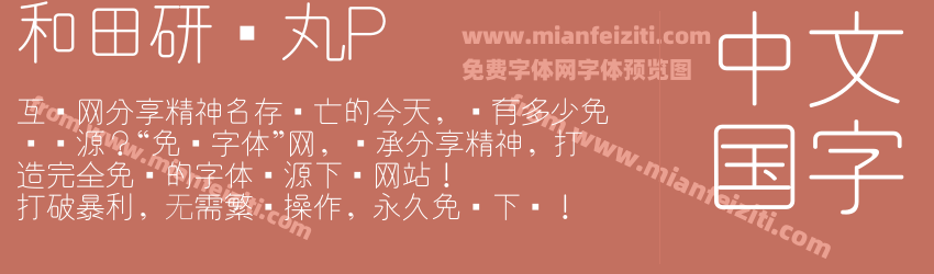 和田研细丸P预览图1