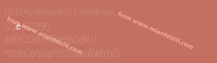 FSP DEMO Petermann Cn It Hairline Italic预览图1