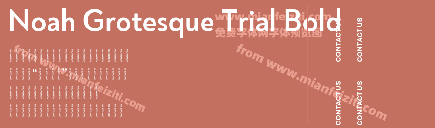Noah Grotesque Trial Bold预览图1