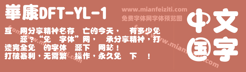 崋康DFT-YL-1预览图1