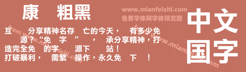 华康俪粗黑预览图1