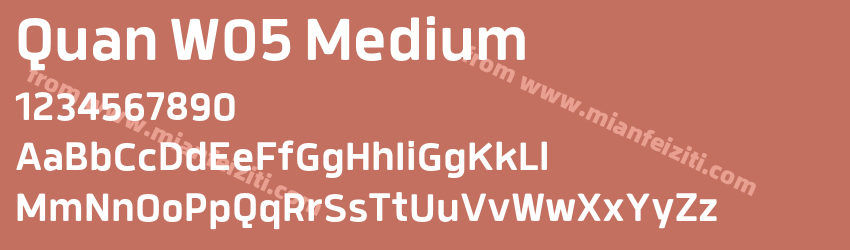Quan W05 Medium预览图1
