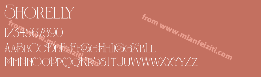 Shorelly预览图1