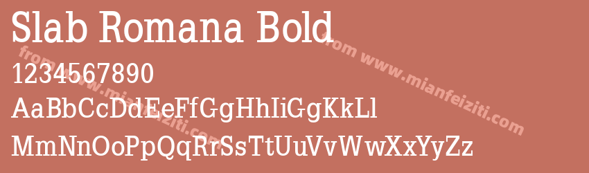 Slab Romana Bold预览图1