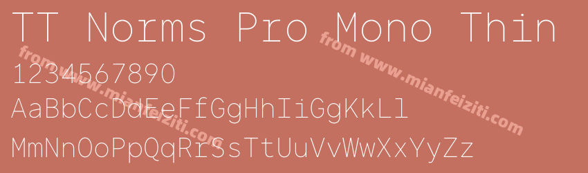 TT Norms Pro Mono Thin预览图1