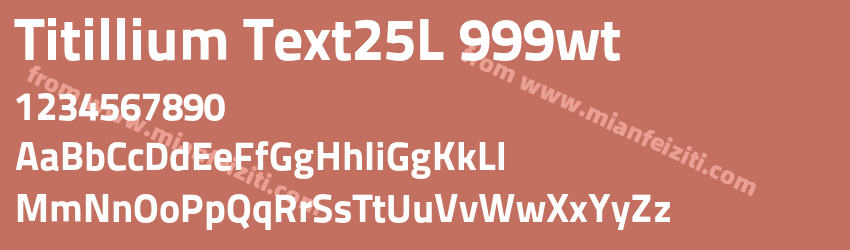 Titillium Text25L 999wt预览图1