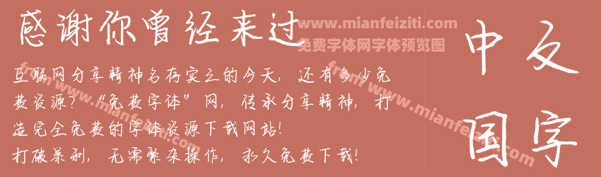 感谢你曾经来过预览图1