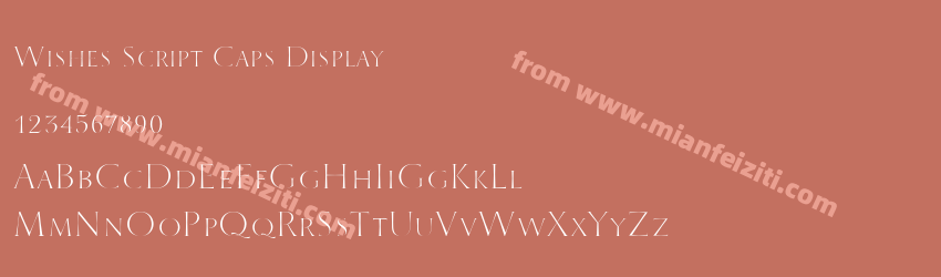 Wishes Script Caps Display预览图1