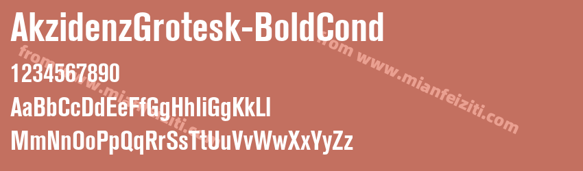 Akzidenz GroteskBQ Bd Cnd预览图1