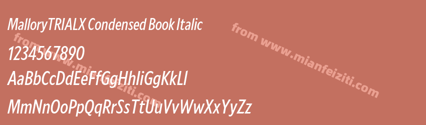 MalloryTRIALX Condensed Book Italic预览图1