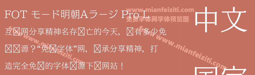 FOT モード明朝Aラージ Pro L预览图1